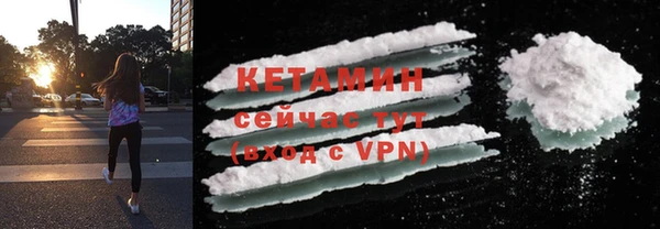 крисы Ростов