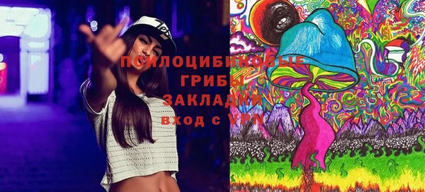 меф Арсеньев